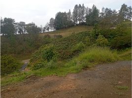  Land for sale in San Vicente, Antioquia, San Vicente