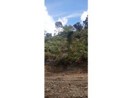  Land for sale in El Carmen De Viboral, Antioquia, El Carmen De Viboral