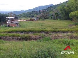 Estudio Casa en venta en Colombia, Pereira, Risaralda, Colombia