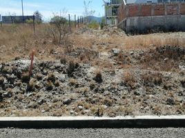  Grundstück zu verkaufen in Morelia, Michoacan, Morelia