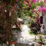 6 Bedroom House for sale in Santa Marta, Magdalena, Santa Marta