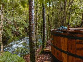  Terreno (Parcela) en venta en Chile, Puerto Varas, Llanquihue, Los Lagos, Chile