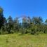  Land for sale in Chile, Curarrehue, Cautin, Araucania, Chile