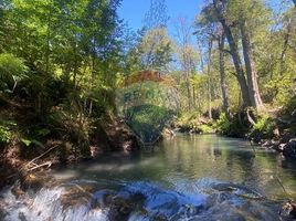  Land for sale in Chile, Curarrehue, Cautin, Araucania, Chile
