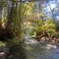 Land for sale in Chile, Curarrehue, Cautin, Araucania, Chile