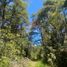  Land for sale in Chile, Curarrehue, Cautin, Araucania, Chile