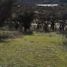  Land for sale in Chile, Curacavi, Melipilla, Santiago, Chile
