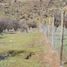  Land for sale in Chile, Curacavi, Melipilla, Santiago, Chile