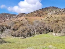  Land for sale in Chile, Curacavi, Melipilla, Santiago, Chile