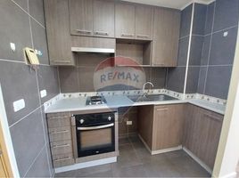 1 Schlafzimmer Appartement zu verkaufen in Cordillera, Santiago, Puente Alto, Cordillera