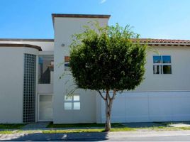 3 Schlafzimmer Haus zu vermieten in San Luis Potosi, San Luis Potosi, San Luis Potosi, San Luis Potosi