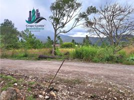  Grundstück zu verkaufen in Boquete, Chiriqui, Bajo Boquete