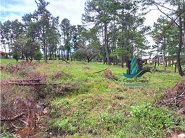  Terrain for sale in Bajo Boquete, Boquete, Bajo Boquete