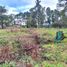  Land for sale in Chiriqui, Bajo Boquete, Boquete, Chiriqui