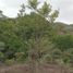  Terreno (Parcela) en venta en Las Cumbres, Ciudad de Panamá, Las Cumbres