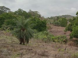  Terreno (Parcela) en venta en Las Cumbres, Ciudad de Panamá, Las Cumbres