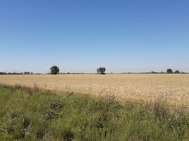  Terreno (Parcela) en venta en San Lorenzo, Santa Fe, San Lorenzo