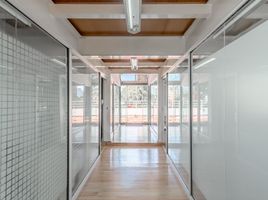 17 平米 Office for rent in 墨西哥, Miguel Hidalgo, Mexico City, 墨西哥