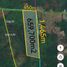  Land for sale in Sudzal, Yucatan, Sudzal