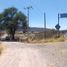  Land for sale in Villa Corona, Jalisco, Villa Corona