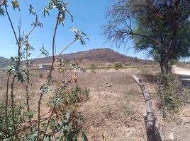  Terreno (Parcela) en venta en Villa Corona, Jalisco, Villa Corona
