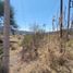  Land for sale in Villa Corona, Jalisco, Villa Corona