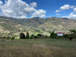  Terreno (Parcela) en venta en Chican (Guillermo Ortega), Paute, Chican (Guillermo Ortega)