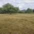  Land for sale in Anapoima, Cundinamarca, Anapoima