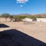  Land for rent in Doctor Arroyo, Nuevo Leon, Doctor Arroyo