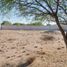  Land for rent in Doctor Arroyo, Nuevo Leon, Doctor Arroyo