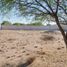  Land for rent in Doctor Arroyo, Nuevo Leon, Doctor Arroyo