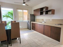 1 Schlafzimmer Appartement zu vermieten in Merida, Yucatan, Merida