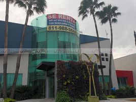 900 제곱미터입니다 Office for rent in 산 니콜라스 드 로스 가자, 누에 보 레온, 산 니콜라스 드 로스 가자