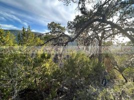  Terreno (Parcela) en venta en Arteaga, Coahuila, Arteaga