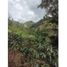 5 Habitación Villa en venta en Manizales, Caldas, Manizales