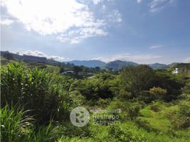  Terreno (Parcela) en venta en Manizales, Caldas, Manizales