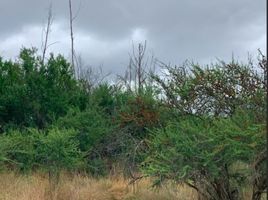  Land for sale in Valparaiso, Quilpue, Valparaiso, Valparaiso