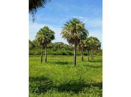  Terreno (Parcela) en venta en San Fernando, Chaco, San Fernando