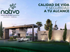  Land for sale in Cordoba, Monteria, Cordoba