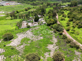 Terreno (Parcela) en venta en Zapotlanejo, Jalisco, Zapotlanejo