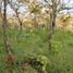  Land for sale in Donato Guerra, Mexico, Donato Guerra