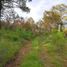  Land for sale in Donato Guerra, Mexico, Donato Guerra