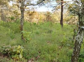  Land for sale in Donato Guerra, Mexico, Donato Guerra