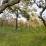  Land for sale in Donato Guerra, Mexico, Donato Guerra