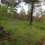  Land for sale in Donato Guerra, Mexico, Donato Guerra