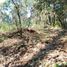 Terrain à vendre à Valle De Bravo, Mexico, Valle De Bravo