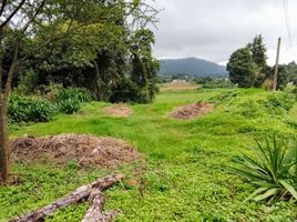  Land for sale in Donato Guerra, Mexico, Donato Guerra