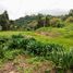 Land for sale in Donato Guerra, Mexico, Donato Guerra