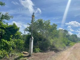  Grundstück zu verkaufen in Mococha, Yucatan, Mococha