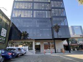 160 m2 Office for rent in Tijuana Cultural Center, Tijuana, Tijuana